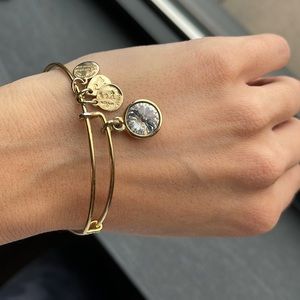 Alex and Ani crystal Charm Bangle